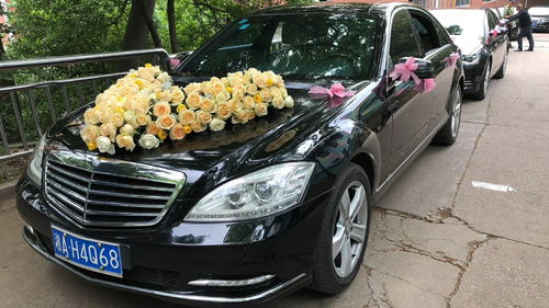 河南租車報價、廠家資源與二手車經(jīng)銷市場概覽